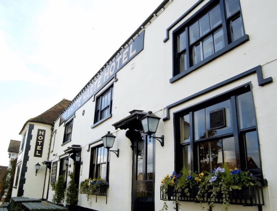 Whyte Harte Hotel Redhill  Kültér fotó