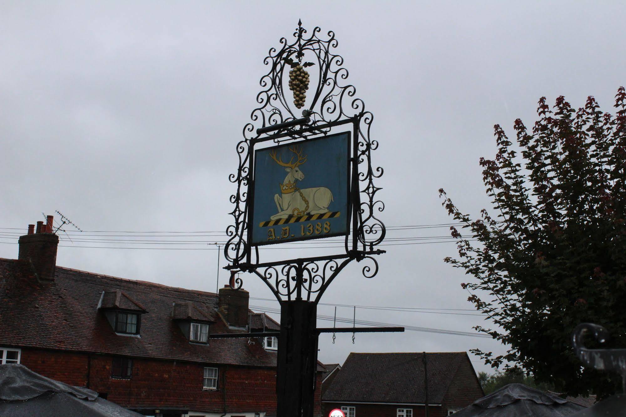 Whyte Harte Hotel Redhill  Kültér fotó